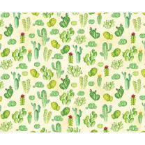 Motiv-Fotokarton Kakteen (122), 300 g/m²,  49,5 cm x...