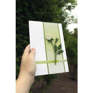 325 Quilling Papierstreifen Weiße Rosen-Set 3 mm