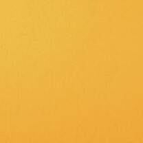Fotokarton Florence cardstock A4 - 216 g/m² -...