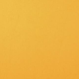 Fotokarton Florence cardstock A4 - 216 g/m² -  Auswahl  009 bee 1 Blatt
