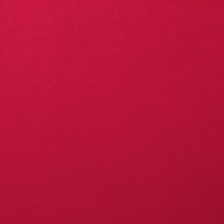 Fotokarton Florence cardstock A4 - 216 g/m² -  Auswahl  031 ruby 1 Blatt