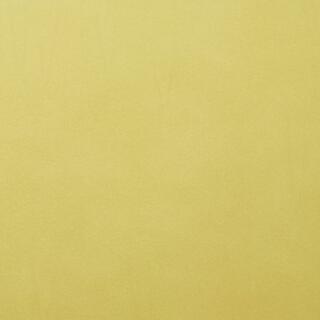 Fotokarton Florence cardstock A4 - 216 g/m² -  Auswahl  066 anise 1 Blatt