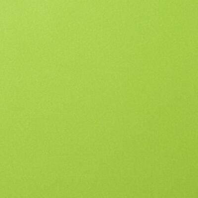 Fotokarton Florence cardstock A4 - 216 g/m² -  Auswahl  068 lime 1 Blatt