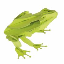 3D Frosch Papiermodell