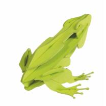 3D Frosch Papiermodell