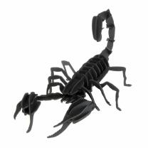 3D Skorpion Papiermodell