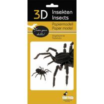 3D Vogelspinne Papiermodell