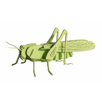 3D Heuschrecke Papiermodell
