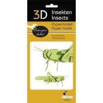3D Heuschrecke Papiermodell