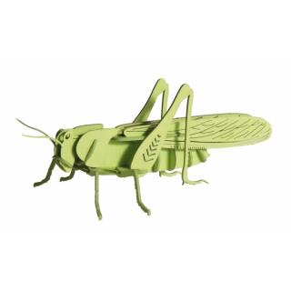 3D Heuschrecke Papiermodell