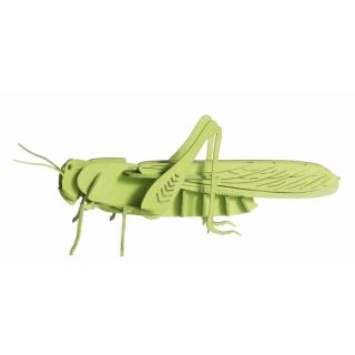 3D Heuschrecke Papiermodell