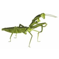 3D Gottesanbeterin Papiermodell