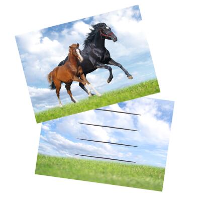 Pferd und Fohlen -  Einladungskarten mit Umschlag, 8 Stück