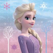 44-teiliges Party Set Frozen 2 Wind Spirit - Teller Pappbecher Servietten Trinkhalme für 8 Kinder