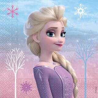 44-teiliges Party Set Frozen 2 Wind Spirit - Teller Pappbecher Servietten Trinkhalme für 8 Kinder