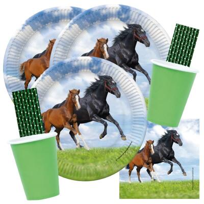 68-teiliges Party-Set Pferde - Pferd und Fohlen - Teller Becher grün Servietten Trinkhalme für 16 Kinder