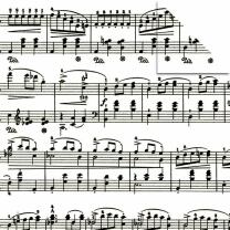 Aurelio Stern Set Faltblätter Noten schwarz 20 x 20 cm