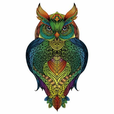 Rainbow Wooden Holz-Puzzle Owl (Eule)