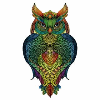 Rainbow Wooden Holz-Puzzle Owl (Eule)