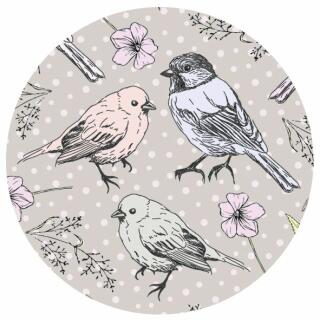 Fotokarton Frühling Vögel (03), 300 g/m²,49,5cm x 68cm