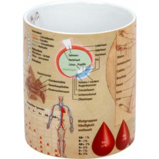 Wissensbecher Medizin