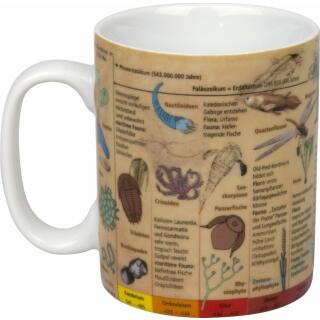 Wissensbecher Evolution