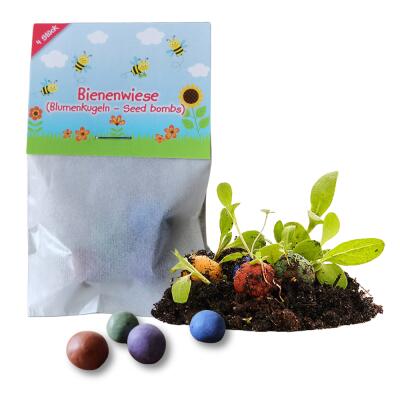 Blumenkugeln "Bienenwiese"