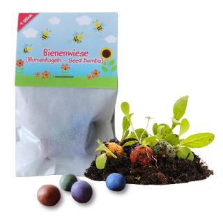 Blumenkugeln "Bienenwiese"