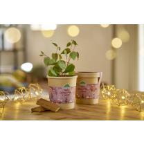 Lebkuchenbaum aus dem Becher