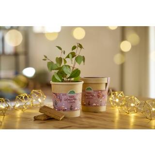 Lebkuchenbaum aus dem Becher