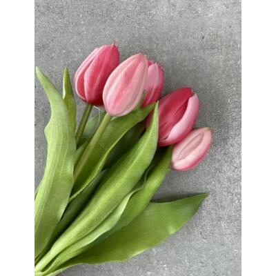 Tulpen - Tulpenbund "Camilla" - 30 cm pink