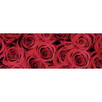 Motiv-Fotokarton Rosen rot (64), 300 g/m²,  ca. 50...