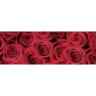 Motiv-Fotokarton Rosen rot (64), 300 g/m²,  ca. 50 cm x 70 cm