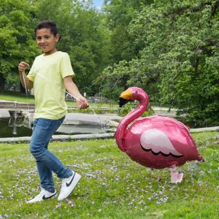 Folienballon - Walking Balloon - Flamingo, 83 x 71 cm