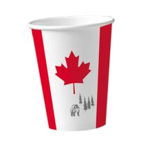 56-teiliges Party-Set Kanada - Teller Becher Servietten Trinkhalme für 10 Personen