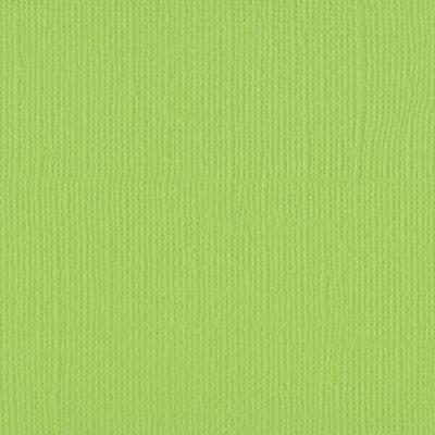 Fotokarton Florence cardstock paper Leinenstruktur 30,5 x 30,5 cm * Auswahl 2 067 celery - Sellerie
