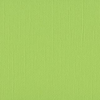 Fotokarton Florence cardstock paper Leinenstruktur 30,5 x 30,5 cm * Auswahl 2 067 celery - Sellerie