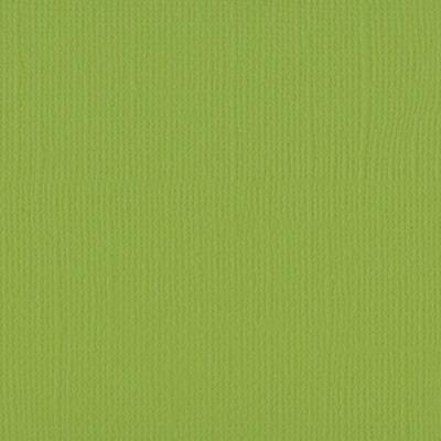 Fotokarton Florence cardstock paper Leinenstruktur 30,5 x 30,5 cm * Auswahl 2 070 pistachio