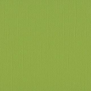 Fotokarton Florence cardstock paper Leinenstruktur 30,5 x 30,5 cm * Auswahl 2 070 pistachio