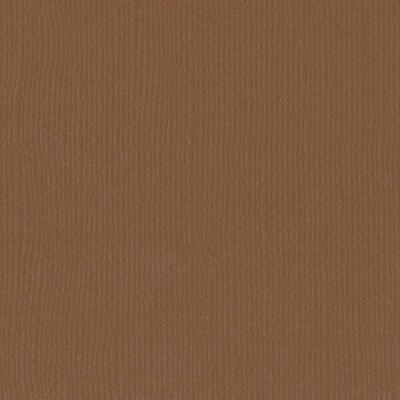 Fotokarton Florence cardstock paper Leinenstruktur 30,5 x 30,5 cm * Auswahl 2 089 lion