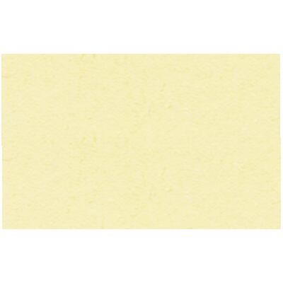 Ursus Fotokarton 50 x 70 cm 300 g/qm - 1 Blatt - Farbauswahl  11 vanille