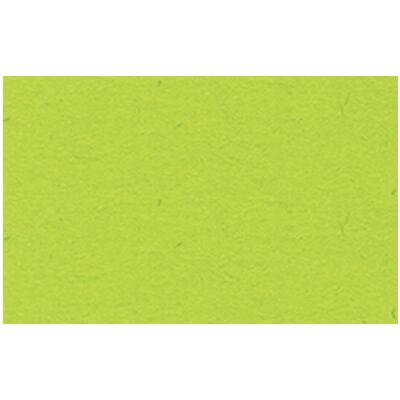 Ursus Fotokarton 50 x 70 cm 300 g/qm - 1 Blatt - Farbauswahl  51 hellgrün