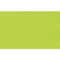 Ursus Fotokarton 50 x 70 cm 300 g/qm - 1 Blatt -...
