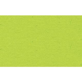 Ursus Fotokarton 50 x 70 cm 300 g/qm - 1 Blatt - Farbauswahl  51 hellgrün