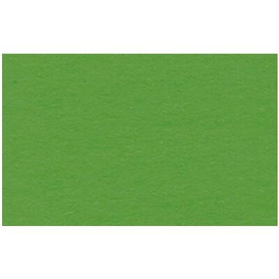 Ursus Fotokarton 50 x 70 cm 300 g/qm - 1 Blatt - Farbauswahl  53 lindgrün