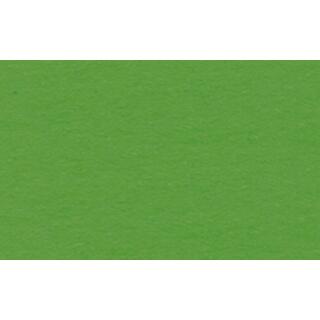 Ursus Fotokarton 50 x 70 cm 300 g/qm - 1 Blatt - Farbauswahl  53 lindgrün