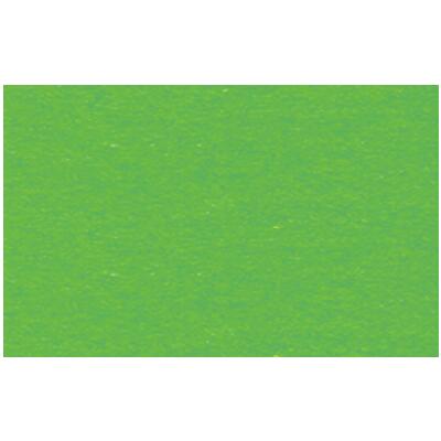 Ursus Fotokarton 50 x 70 cm 300 g/qm - 1 Blatt - Farbauswahl  58 grasgrün