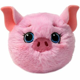 Schwein Posey