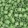 31 pastel green