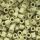 71 light yellow